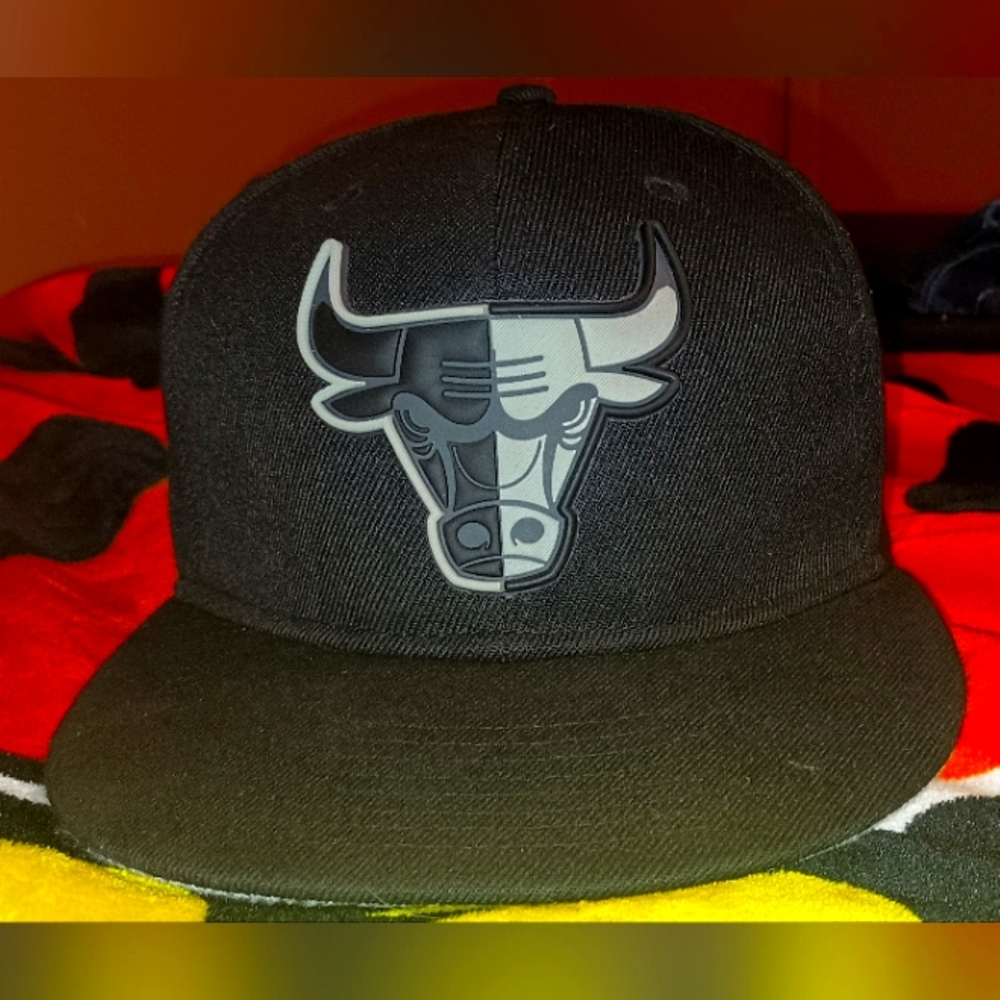 Chicago bulls